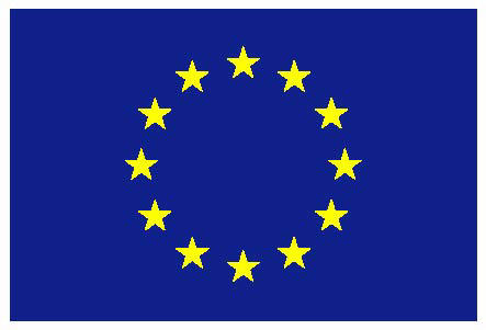 euflagge