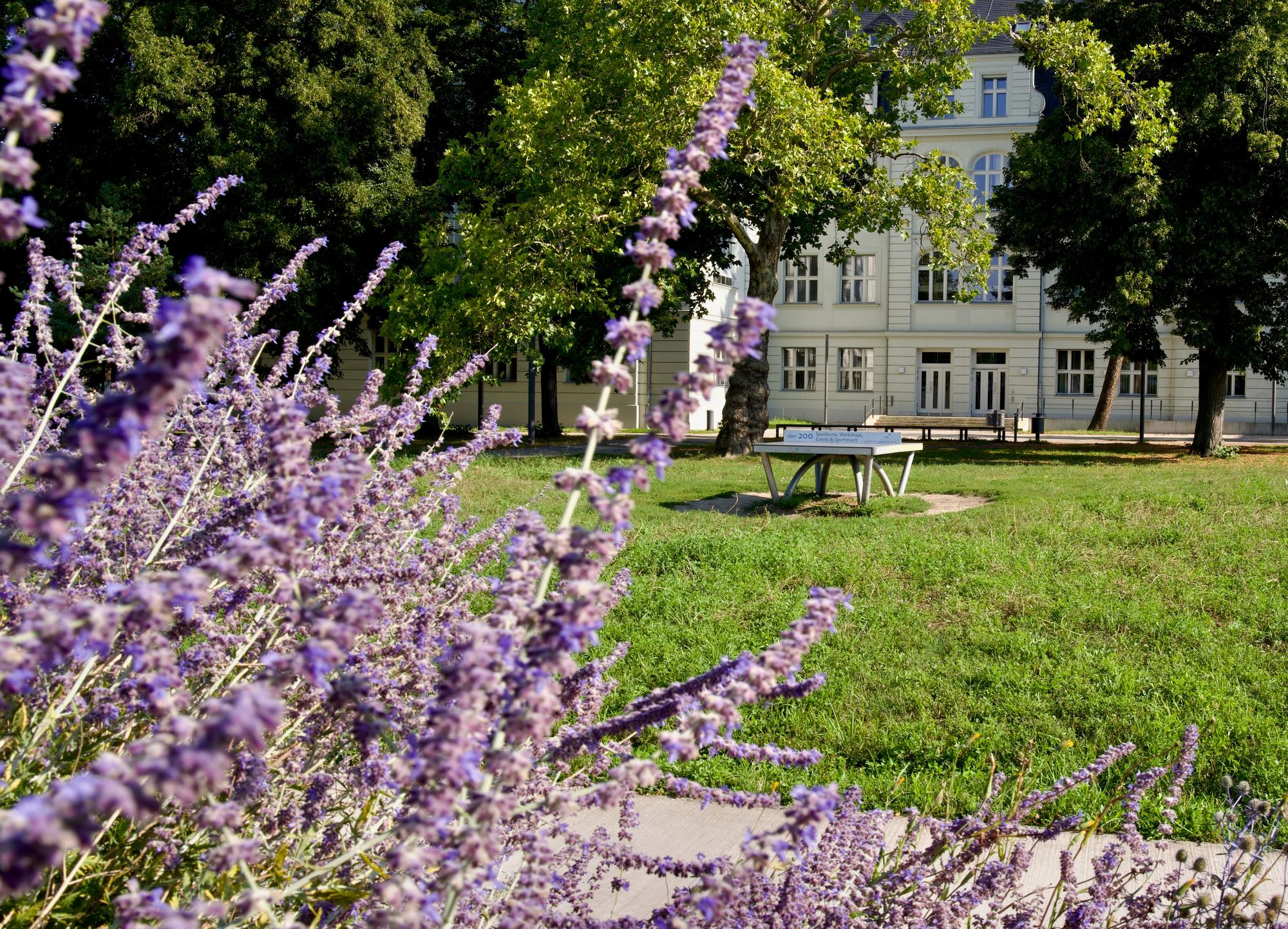 Campus Boltzmannstraße