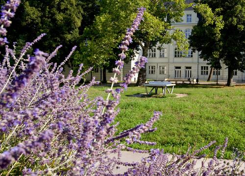 Campus Boltzmannstraße