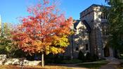 Der Law School Campus im Herbst