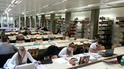 Bibliothek 2