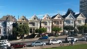 Painted Ladies