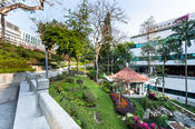 Chinese Garden on CityUniversity Campus