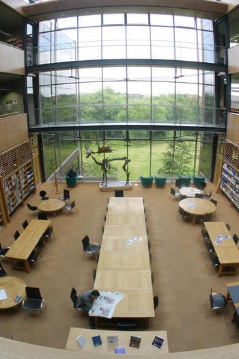 Lesesaal in der Bibliothek der University of Limerick